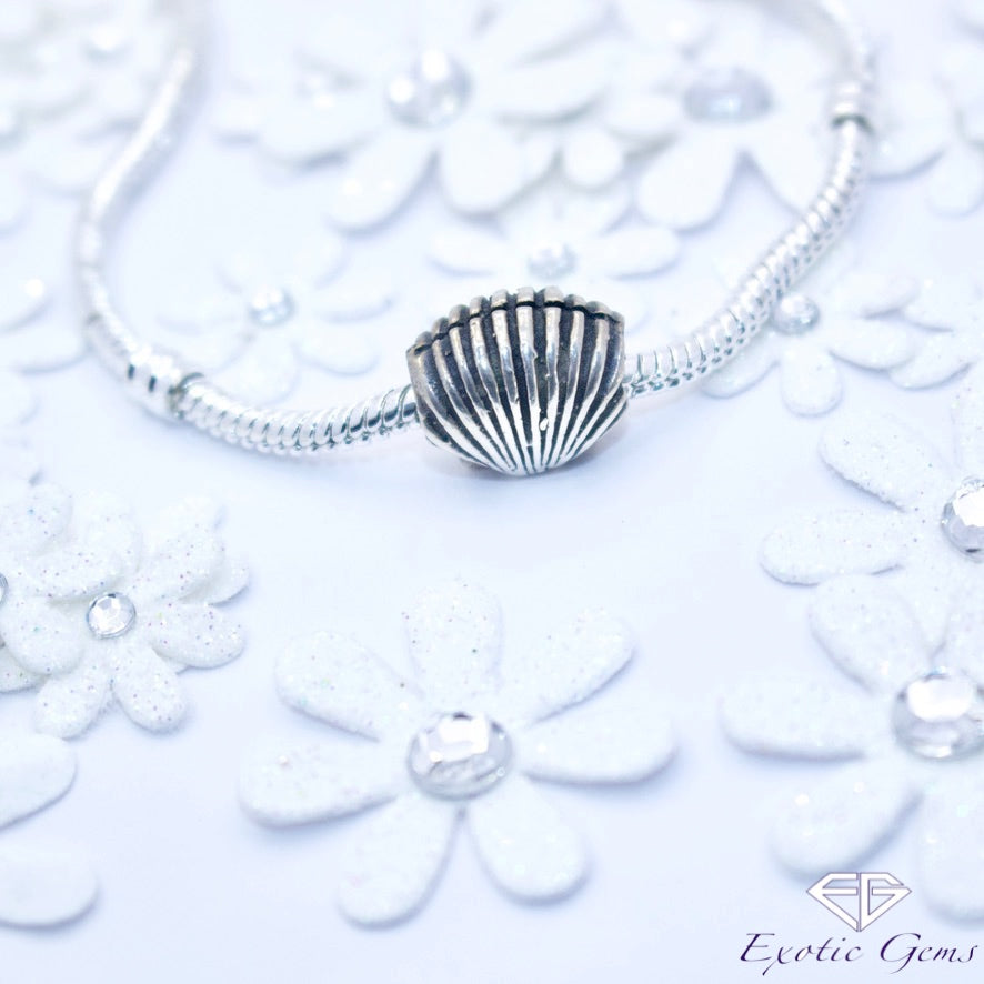 SEASHELL CHARM (BEAD)