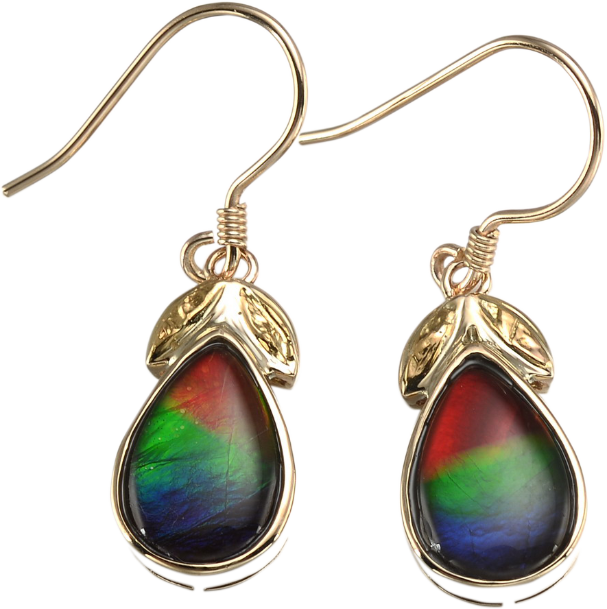 AMMOLITE EARRING