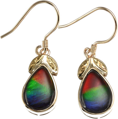 AMMOLITE EARRING