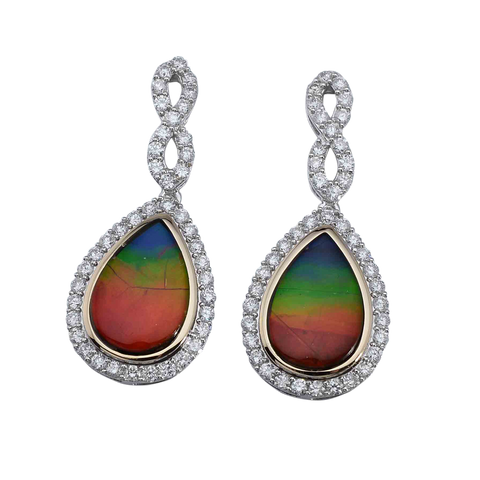 AMMOLITE EARRING